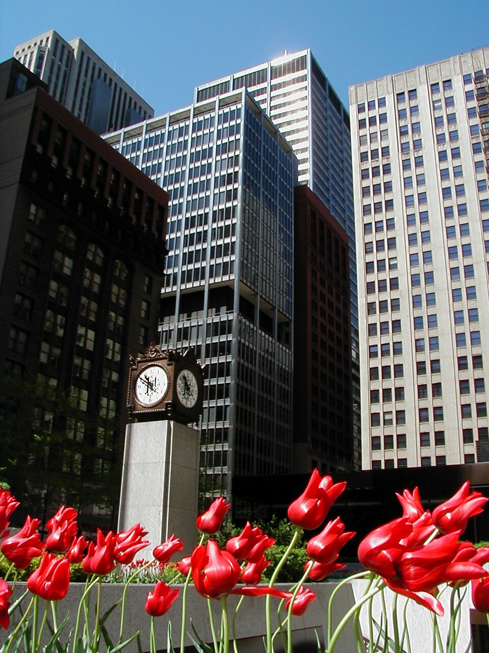 P5180065a.jpg